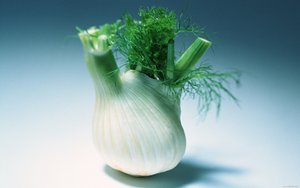 文档理解